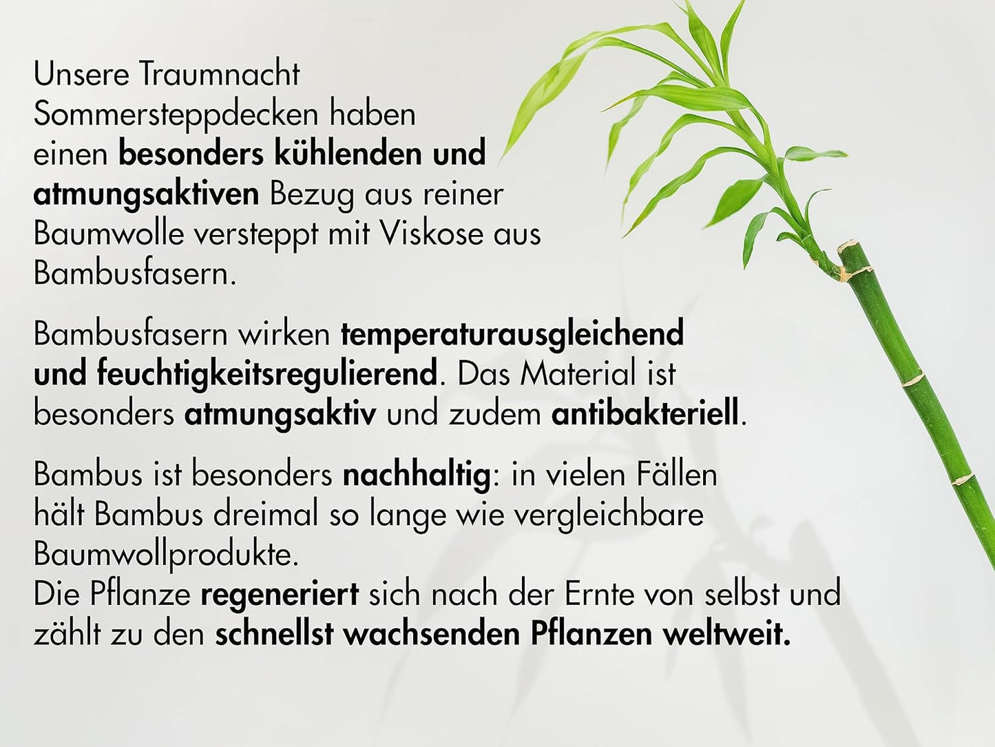 Traumnacht Bambuskissen mit Bambusfasern, hypoallergen, antibakteriell Kissenset mit Reißverschluss, bestehend aus 2 Kissen 40X80Cm, Öko-Tex zertifiziert, in Deutschland entwickelt Naty Shop Standardkissen