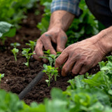 Relaxdays Tropfschlauch 25m, Bewässerungsschlauch zur Bewässerung von hohen Lagen und Hecken, Gartenschlauch, schwarz