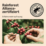 von Amazon Lungo Kaffee-Kunststoffkapseln, Nespresso-kompatibel, 20 Stück, Packung mit 1 – Rainforest Alliance-zertifiziert