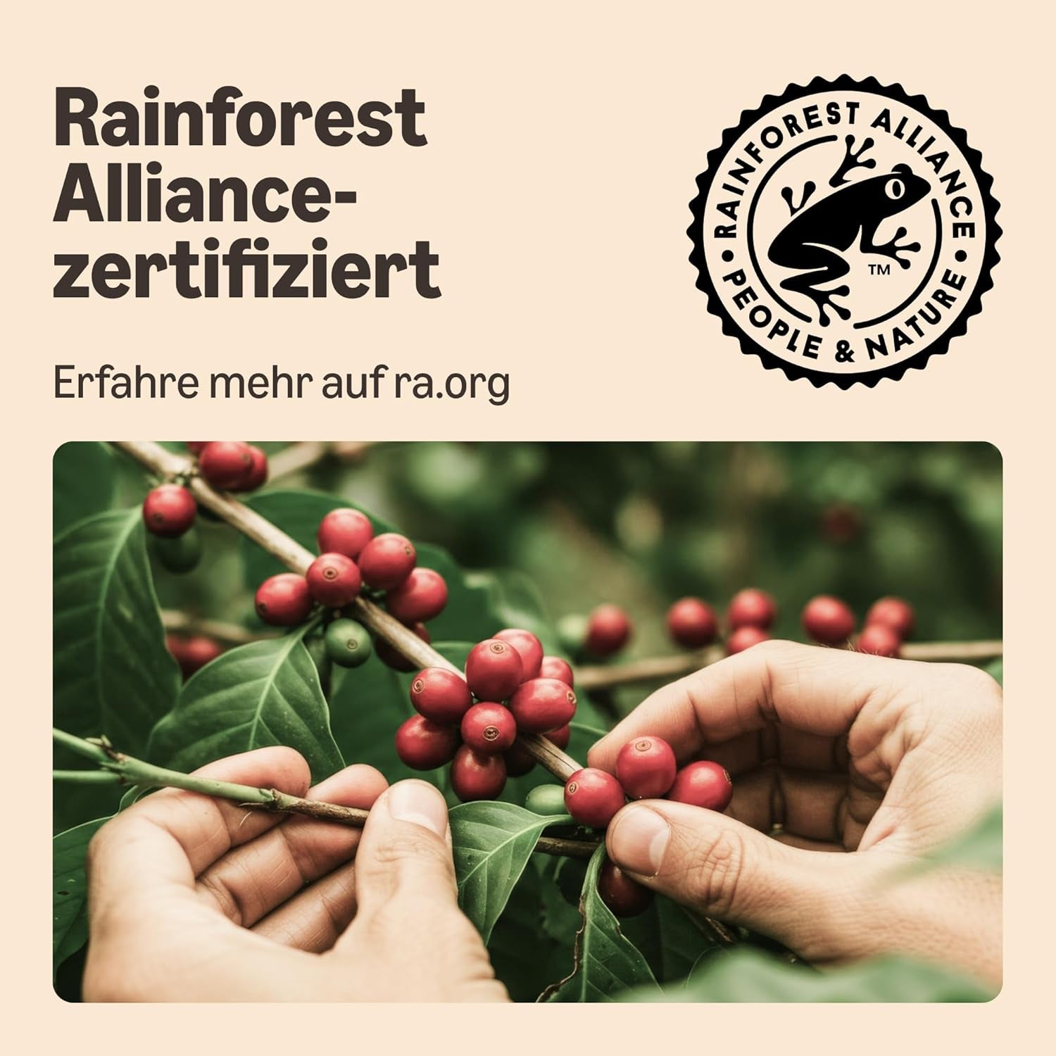 von Amazon Lungo Kaffee-Kunststoffkapseln, Nespresso-kompatibel, 20 Stück, Packung mit 1 – Rainforest Alliance-zertifiziert