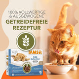 IAMS Delights Sea Collection Getreidefreies Nassfutter für Katzen – Multipack mit verschiedenen Fischsorten in Sauce, getreidefreies Nassfutter für Katzen ab 1 Jahr, 12 x 85 g