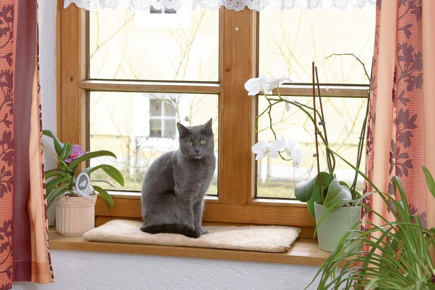 Decken und Möbel, Haustiere, Katzen, Betten für Katzen, Kratzmatten, Katzenbetten, Matratzen