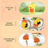 Getrocknete Grapefruitscheiben, dehydrierte Grapefruit, Vasenfüller, Weihnachtsdekoration, rote Grapefruitscheiben, Trockenfruchtscheiben für Tee, ohne Zuckerzusatz (100 g (1 Packung)) Naty Shop Dehydrierte Produkte