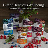 LOOV Bio-Wildheidelbeerpulver – 29-Tage-Vorrat 171 g, gut für Smoothies und Frühstück, gefriergetrocknet, Nordeuropa, ohne Zuckerzusatz, dehydrierte Produkte von Naty Shop