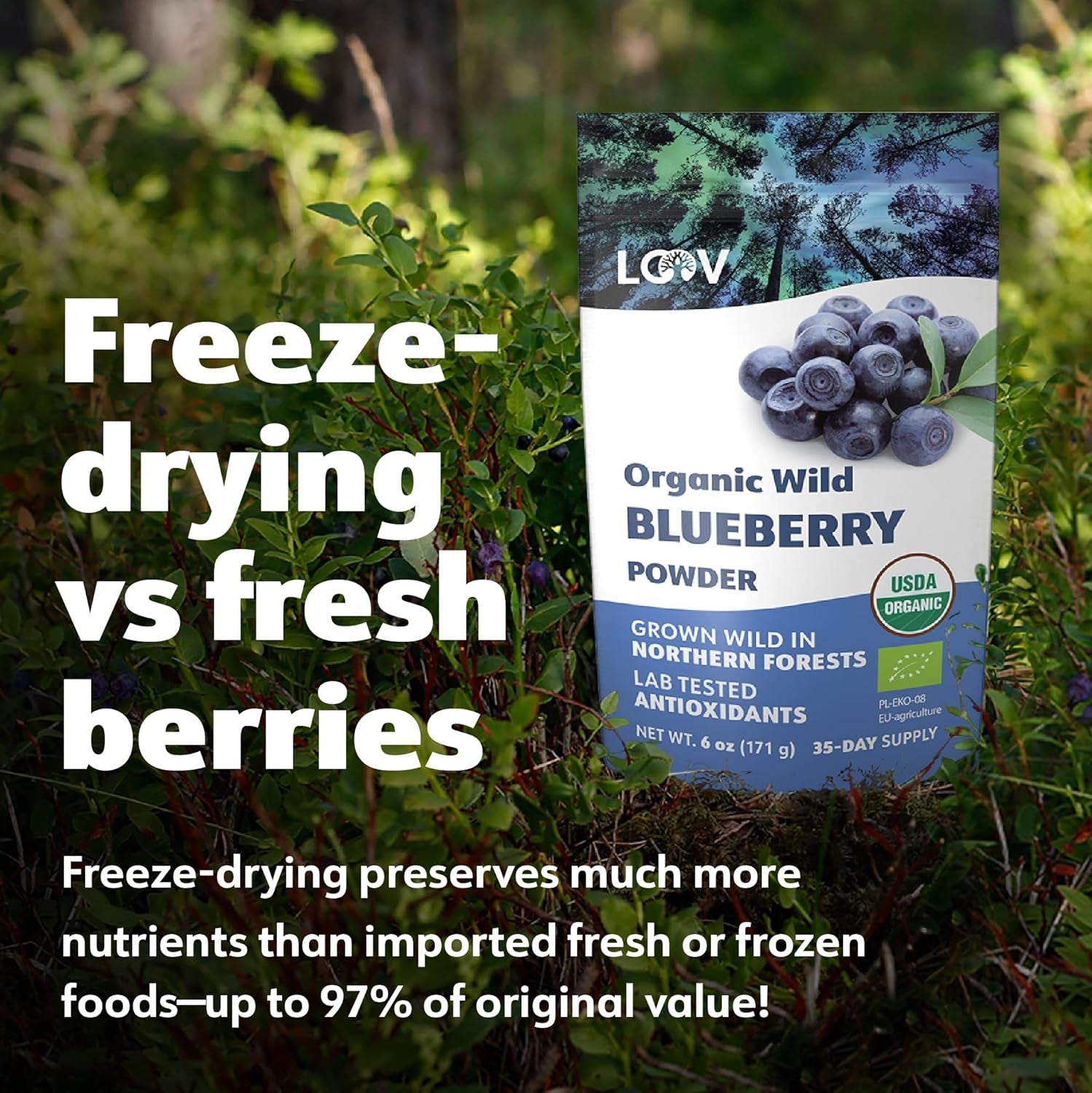 LOOV Bio-Wildheidelbeerpulver – 29-Tage-Vorrat 171 g, gut für Smoothies und Frühstück, gefriergetrocknet, Nordeuropa, ohne Zuckerzusatz, dehydrierte Produkte von Naty Shop