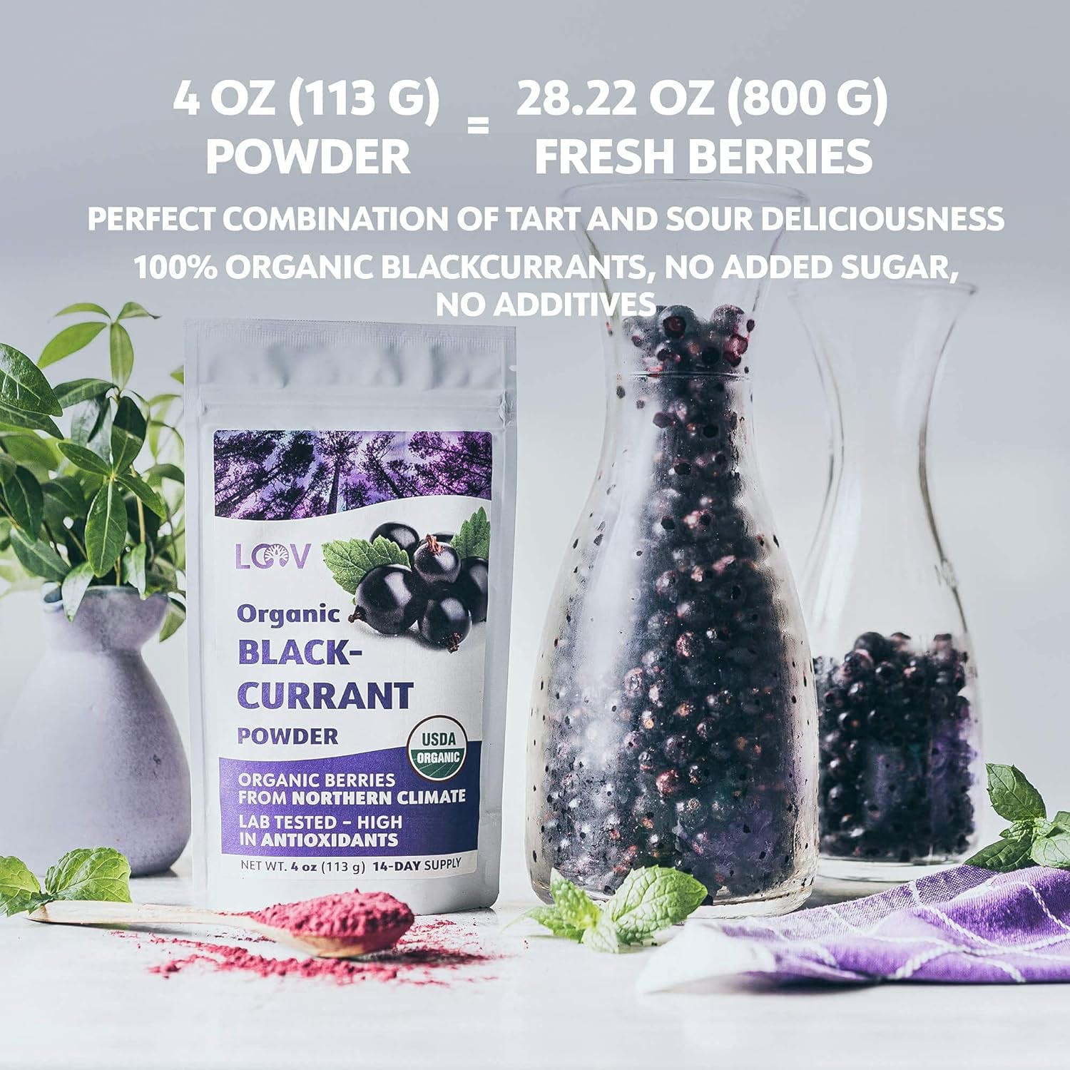 LOOV Bio-Pulver aus schwarzen Johannisbeeren, hergestellt aus 100 % ganzen schwarzen Johannisbeeren, gefriergetrockneten und pulverisierten Bio-Beeren, angebaut in Nordeuropa, ohne Zuckerzusatz, 113 g, dehydrierte Produkte von Naty Shop