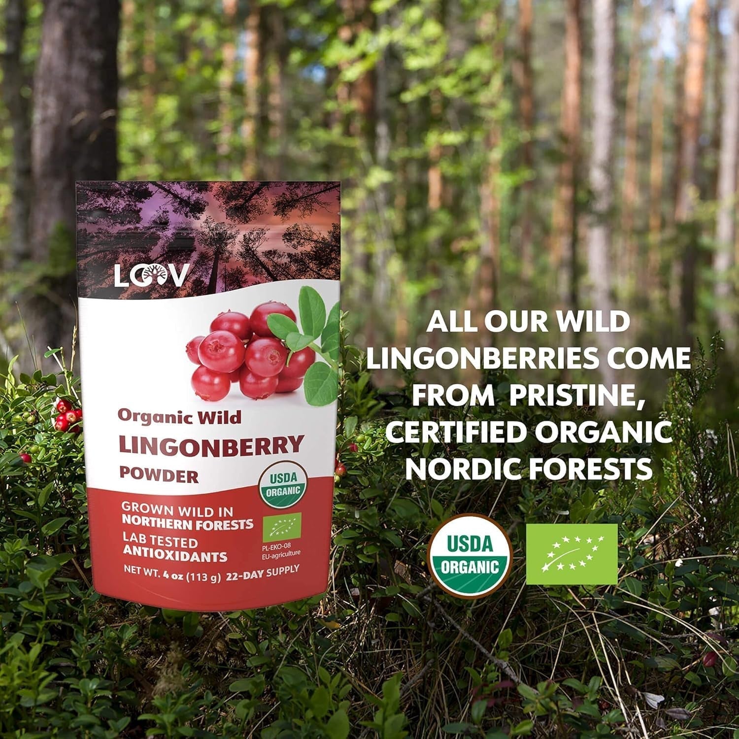 LOOV Bio-Blaubeerpulver, hergestellt aus 100 % ganzen, gefriergetrockneten wilden Blaubeeren, die in den Wäldern Nordeuropas geerntet werden, 113 g, ohne Zuckerzusatz Naty Shop Dehydrierte Produkte