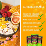 Gefriergetrocknete Mango: 100g gefriergetrocknete Früchte aus zarten Mangostücken ohne Zuckerzusatz - getrocknete Mango - getrocknete Mango - Trockenfrüchte - Trockenfrüchte von NutriPur Dehydrierte Produkte Naty Shop