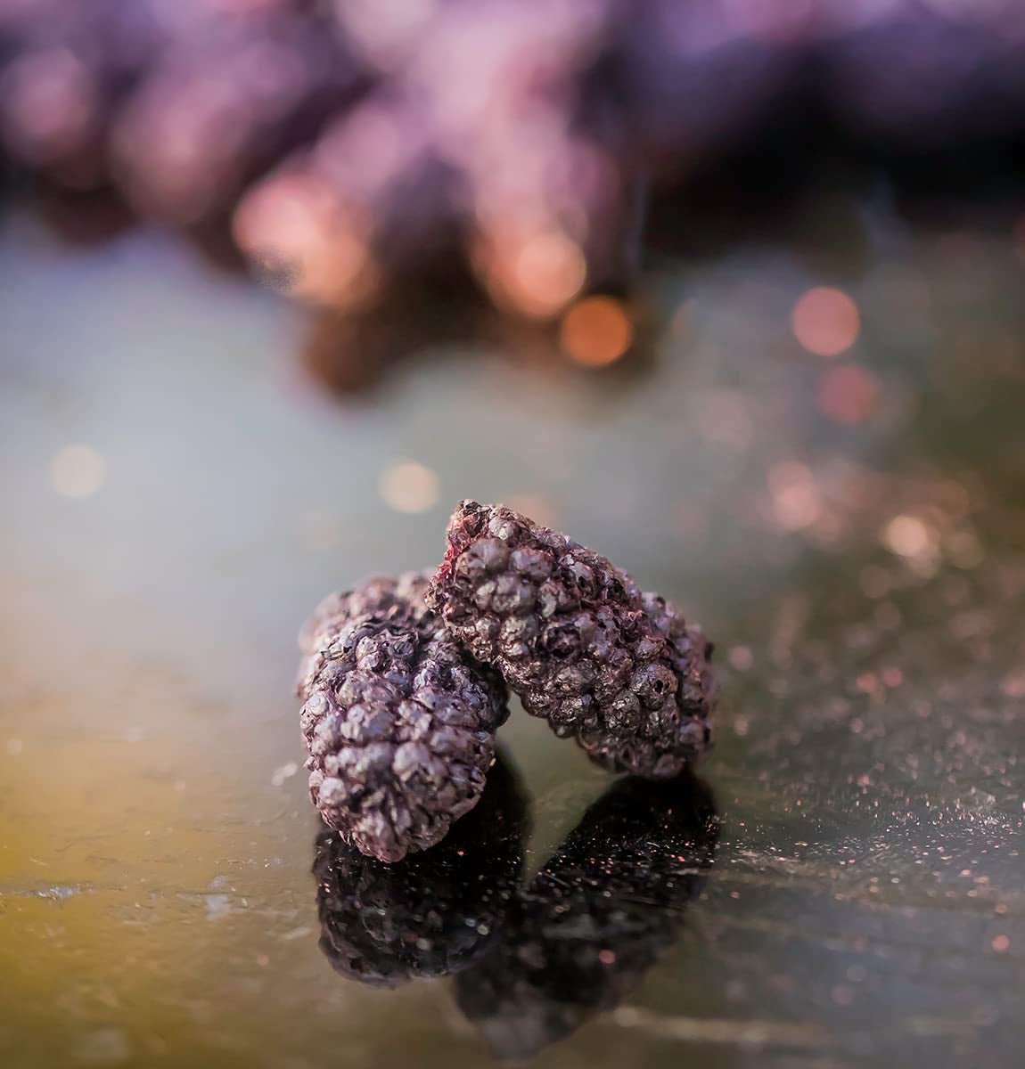 Brombeere BRIX | Natürliche getrocknete Brombeeren 95 g | Great Taste Award für Trockenfrüchte | GVO-frei, glutenfrei, vegan, konservierte Vitamine Naty Shop dehydrierte Produkte