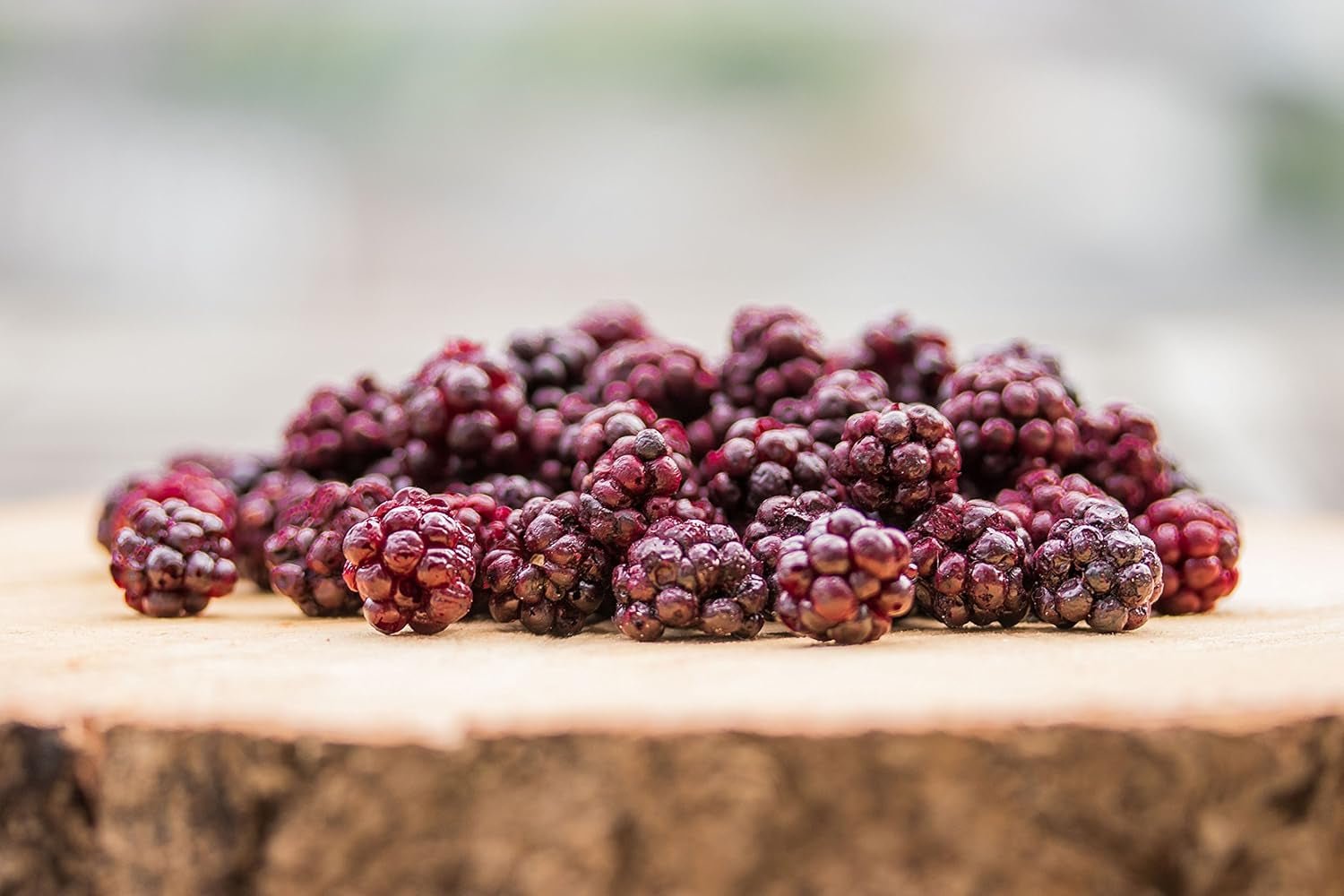Wilde Brombeeren BRIX | Natürliche wilde Brombeeren, getrocknet 95 g | Great Taste Award für getrocknete Beeren | GVO-frei, glutenfrei, vegan, ohne Vitamine. Naty Shop dehydrierte Produkte