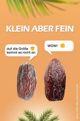 NABALI FAIRKOST FÜR ALLE Medjoul - Medjool Dates Choice I – 100 % natürlich aromatisch frisch orientalisch weich I süß wie Honig und karamellisiert I Herkunft: Palästina I (1x1KG) Dehydrierte Produkte Naty Shop