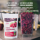 Bio-Himbeerpulver, 100 % ganze Himbeeren, gefriergetrocknetes Himbeerpulver, 171 g, aus Europa, 24-Tage-Versorgung, ohne Zuckerzusatz, Naty Shop dehydrierte Produkte