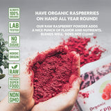 Bio-Himbeerpulver, 100 % ganze Himbeeren, gefriergetrocknetes Himbeerpulver, 171 g, aus Europa, 24-Tage-Versorgung, ohne Zuckerzusatz, Naty Shop dehydrierte Produkte