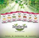 Seba Garden Premium gefriergetrocknete Erdbeeren, köstliche mediterrane Erdbeeren, gentechnikfrei und vegan (100 g) Trockenprodukte Mein Shop