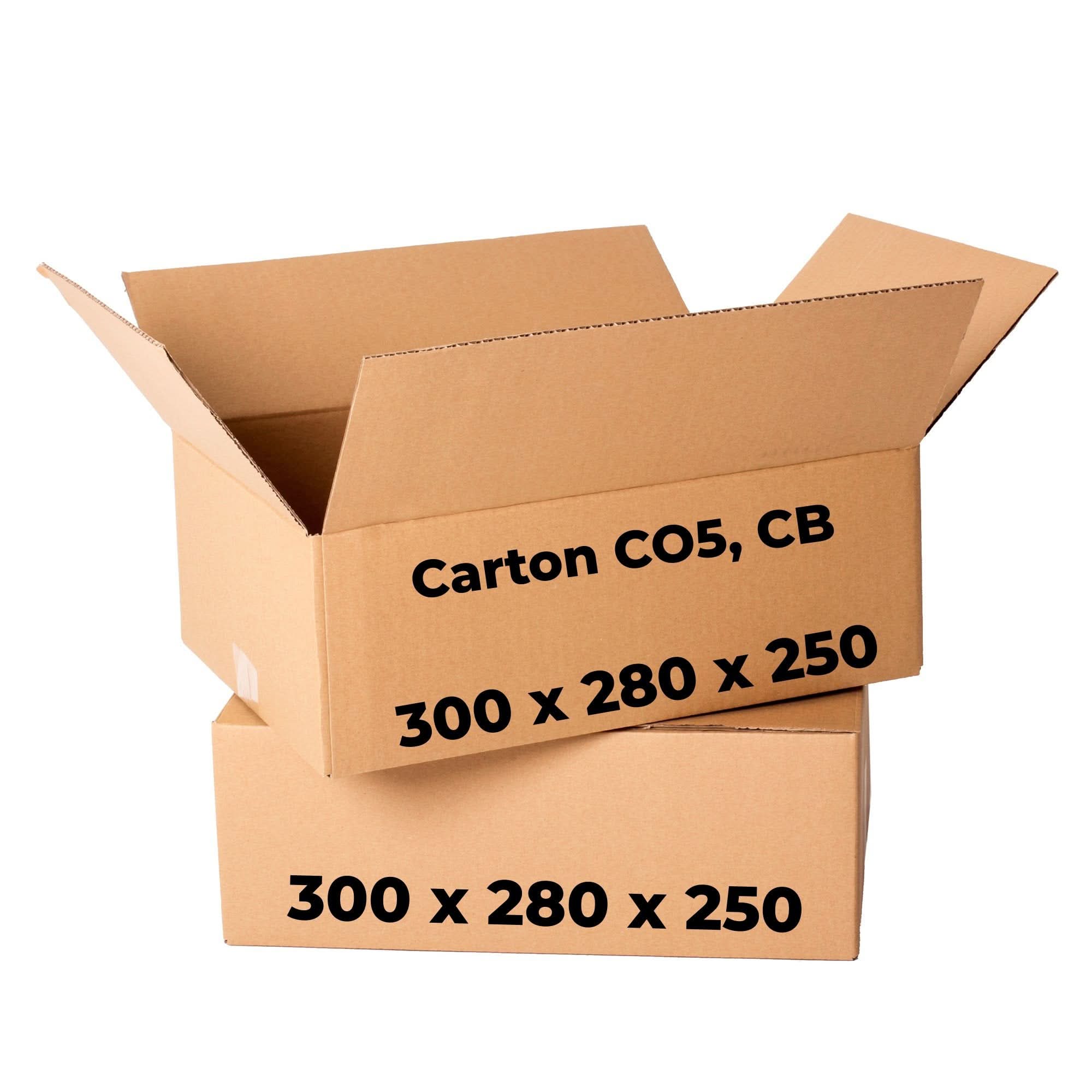 Set mit 20 Kartons CO5, CB, 300 x 280 x 250 Verpackungskartons Nati Shop