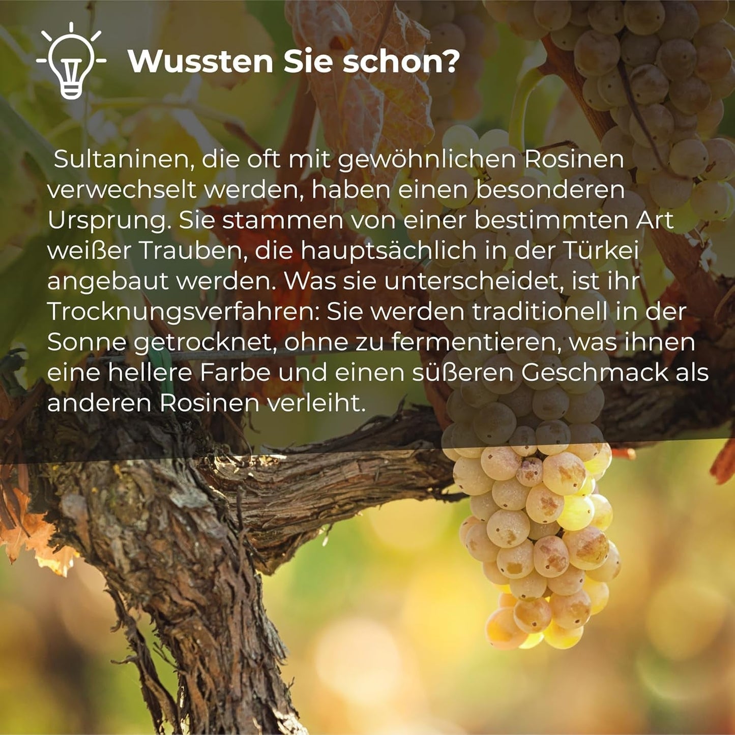 Sultaninen Rosinen 1kg | Smyrna-Rosine | Sultaninen getrocknete Rosinen aus Izmir | 100 % türkischer Herkunft | Hochwertige Snacks | in Ballaststoffe aus getrockneten Weintrauben | Naty Shop dehydrierte Produkte