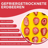 Sommerliche gefriergetrocknete Erdbeeren – 5er-Pack – zuckerfrei, 100 % natürlich, leckere knusprige Snacks für Kinder und Erwachsene, ideal für Müsli und Lunchboxen (55 g). Dehydrierte Produkte Naty Shop