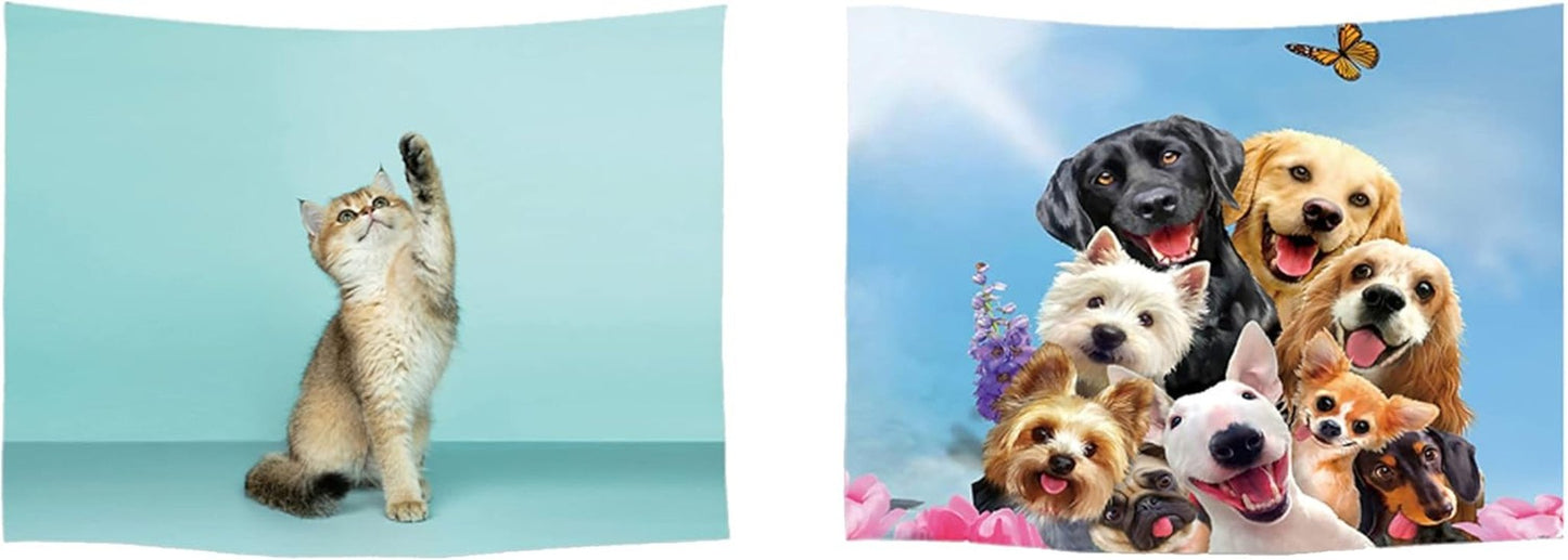 Wandteppich Ulticool Haus Strand Meer Palmeninsel Zuhause – Accessoires und Dekorationen Naty Shop Hund Katze