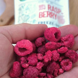 Gefriergetrocknete Himbeeren Bruchstücke | XL 300g Gefriergetrocknete Trockenfrüchte | Getrocknete Himbeeren Glutenfreie gefriergetrocknete Früchte | Gefriergetrocknete Früchte | Gefriergetrocknete Himbeeren, dehydrierte Produkte von Naty Shop